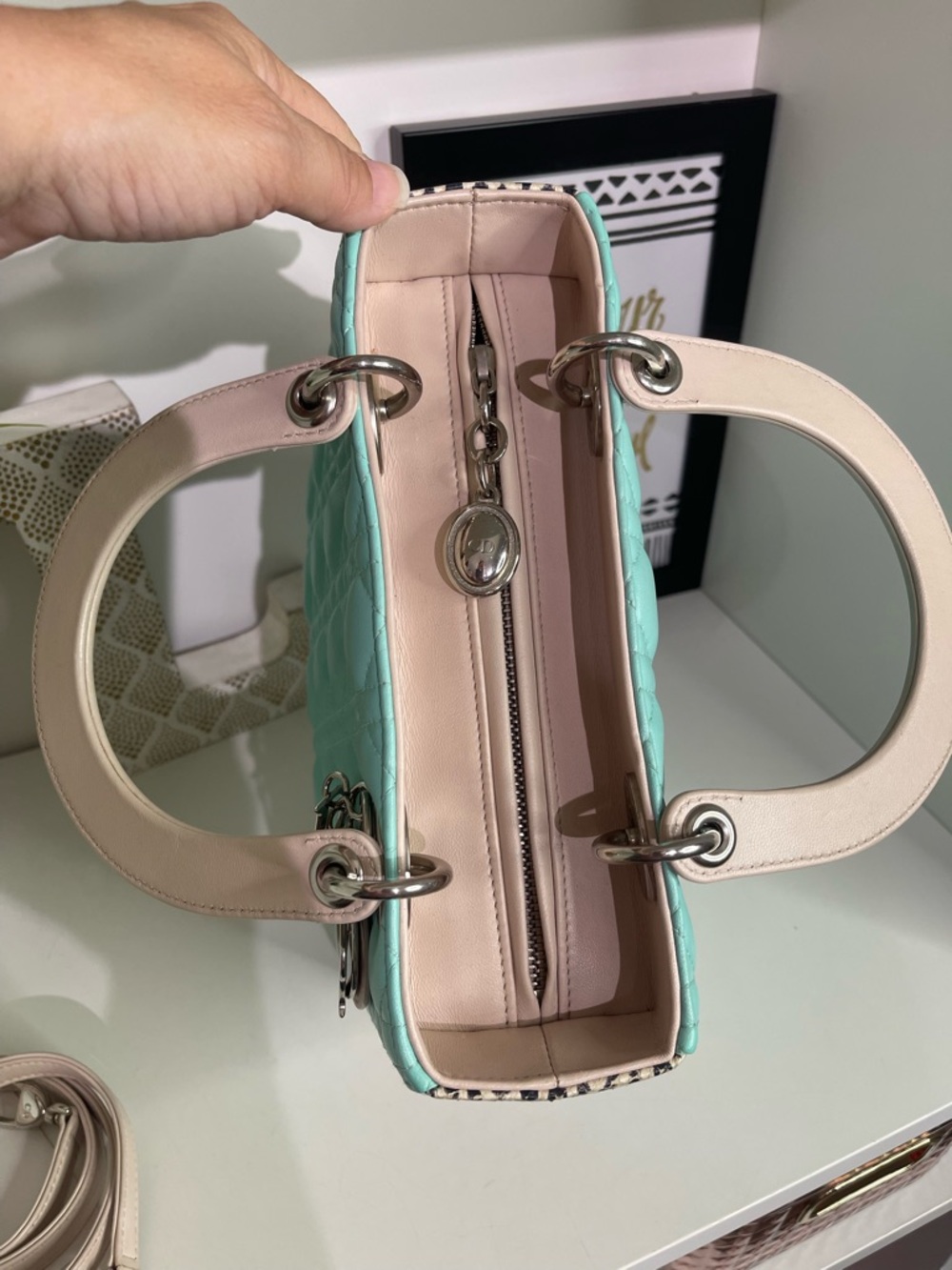 Dior Quilted Lady Dior Medium Python Silver Hardware - Picture 6 of 7